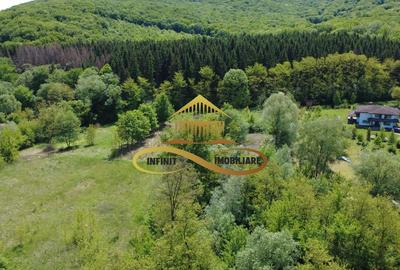 Teren intravilan | Posibilitate afacere HoReCa | Luncani-de vanzare - 3