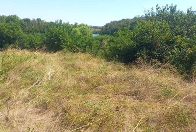 Teren de 519 mp, în Găneasa - 1