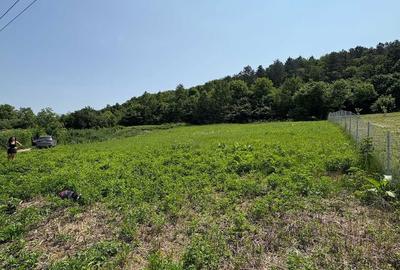 Spațiu comercial, în Iclozel - 4