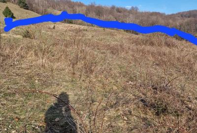 Teren de 30209 mp, în Groșuri - 4