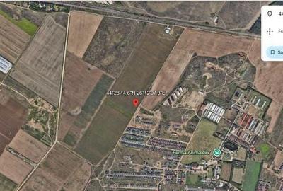 Teren de 14000 mp, în Dobroești - 1