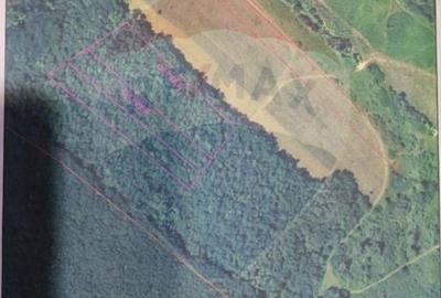 Teren agricol extravilan de 15618 mp, în Sântimreu - 2