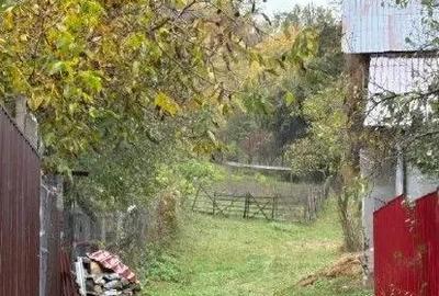 Teren faneata Vizantea Livezi , ID: R2800612 - 1