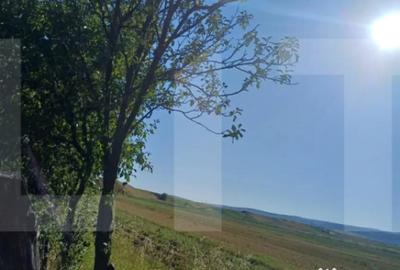 Casă cu 3 camere cu Teren 7600 Mp în Central - 7