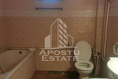 Casă cu 5 camere cu Teren 1571 Mp în Bucovăț (Remetea Mare) - 6