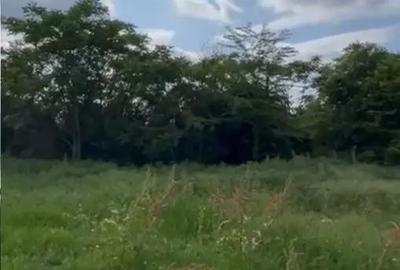 Teren de 600 mp, în Sisești - 5