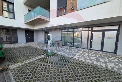Apartament cu 3 camere decomandat, mobilat în Nufărul - 25