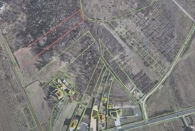 Spațiu comercial, în Jiblea Nouă - 4