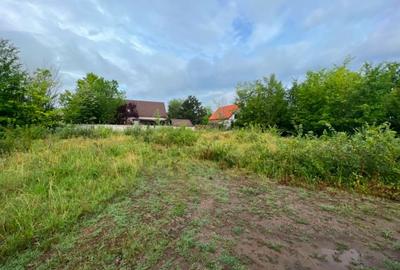 Spațiu comercial, în Corbeanca - 4