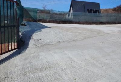 Spațiu comercial, în Gușterița - 5