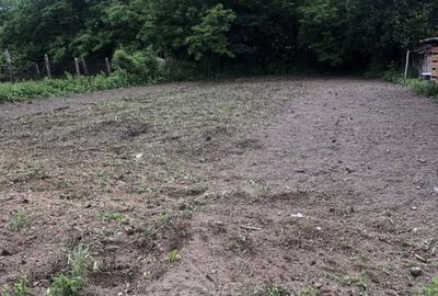 Casă cu 4 camere cu Teren 2300 Mp în Stângăceaua - 2