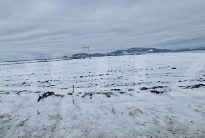 Teren de 11620 mp, în Hărman - 4