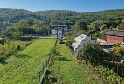 Casa Valea Budului , priveli?te deosebita spre padure. - 3