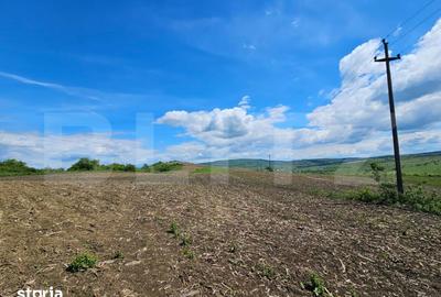 Teren de 5800 mp, în Șintereag - 2
