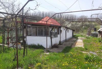 Casă cu 2 camere în Vlaici - 7