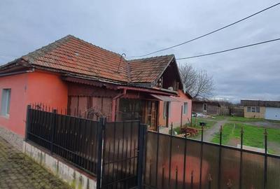 Casă cu 3 camere cu Teren 2175 Mp în Mailat - 9