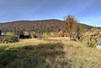 Teren de 660 mp, în Bunloc - 9