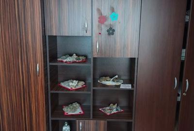 Apartament cu 3 camere decomandat în Central - 12