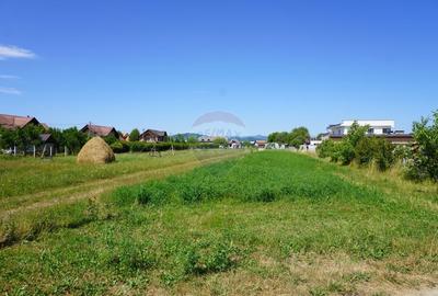 Teren 1,687mp Sighetu Marmatiei / Strada Doboies - 1