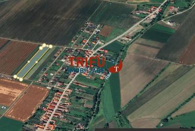 Teren de 1440 mp, în Ighiu - 3