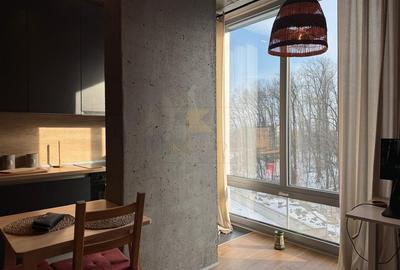 Garsonieră nedecomandată, mobilată în Mogoșoaia - 12