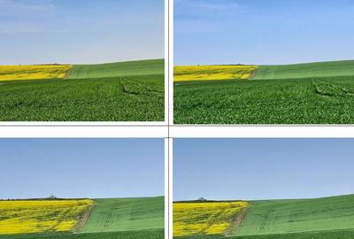 Teren extravilan, loc. Barza, jud Olt, Teren extravilan, loc. Barza, jud Olt, - 4