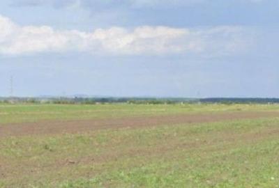 Teren de 5000 mp, în Cocorăștii Colț - 1