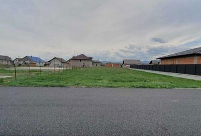 Spațiu comercial, în Central - 2