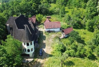 Casă cu 10 camere cu Teren 24700 Mp în Berchez - 11