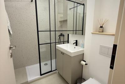 Apartament cu 3 camere decomandat, mobilat în Take Ionescu - 3