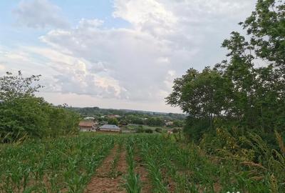 Teren de 2800 mp, în Șopârlița - 2