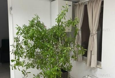 Spațiu comercial, de 185 mp, în Tomis II - 14