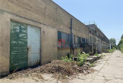 Hala/depozit/spatiu industrial Jilava - Giurgiului, ILFOV - 8