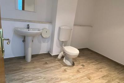 Apartament cu 10 camere decomandat în Aviatorilor - 12