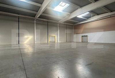 Spațiu comercial, de 3,000 mp, în Dumbrăvița - 7