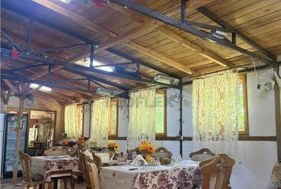 Casă cu 12 camere cu Teren 2000 Mp în Sărata - 5