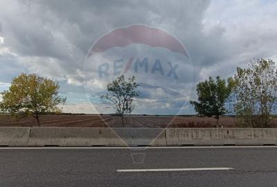 Teren Construcții intravilan de 6500 mp, în Snagov - 3