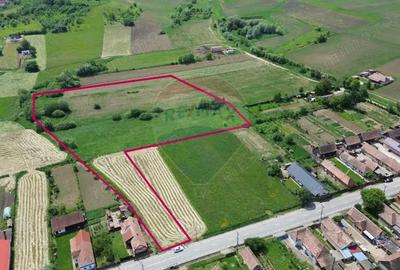 Teren de 15360 mp, în Blăjel - 12