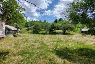 Casă cu 5 camere cu Teren 10000 Mp în Central - 8