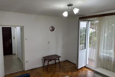 Apartament ingrijit cu Brazi la balcon - 3