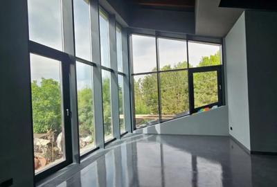 Casă cu 4 camere cu Teren 696 Mp în Buftea - 5