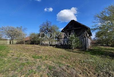 Vanzare teren 4606 mp - Sat Balta - Runcu - la aproximativ 20 km de Targu Jiu - 9