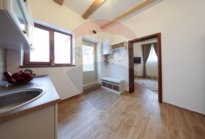 Casa cu 2 camere + curte 40 mp in zona Centrul Istoric - 13