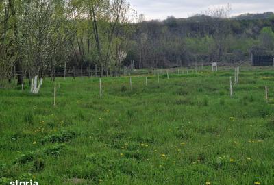 Teren de 1809 mp, în Moțăieni - 4
