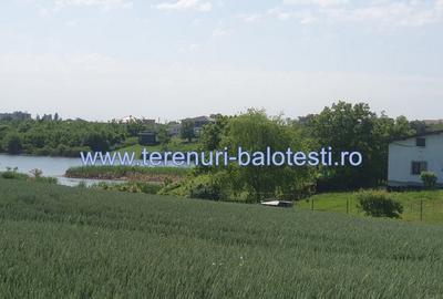 Teren cu vedere la lac Balotesti 600mp - 8