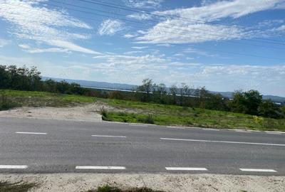 Teren de 7000 mp, în Drăgoești - 9