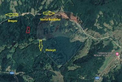 Teren 5500 mp, Valea Sasului, sat Dalghiu, com Vama Buzaului - 5