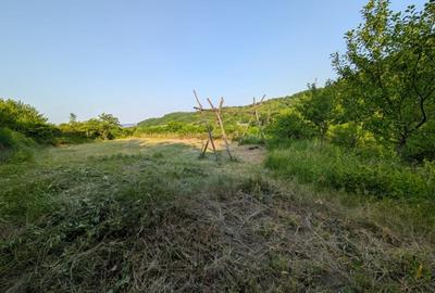 Sarata Bai- Oportunitate investitie- 4038 mp- priveliste spectacol - 10