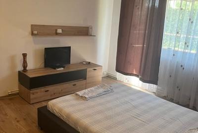 Apartament cu 2 camere semidecomandat, mobilat în Brazda lui Novac - 3