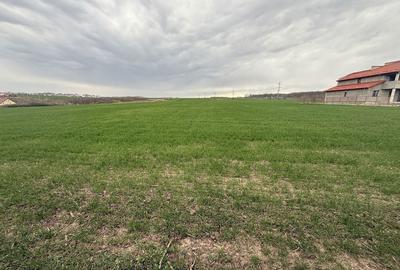 Teren de 15000 mp, în Aroneanu - 6